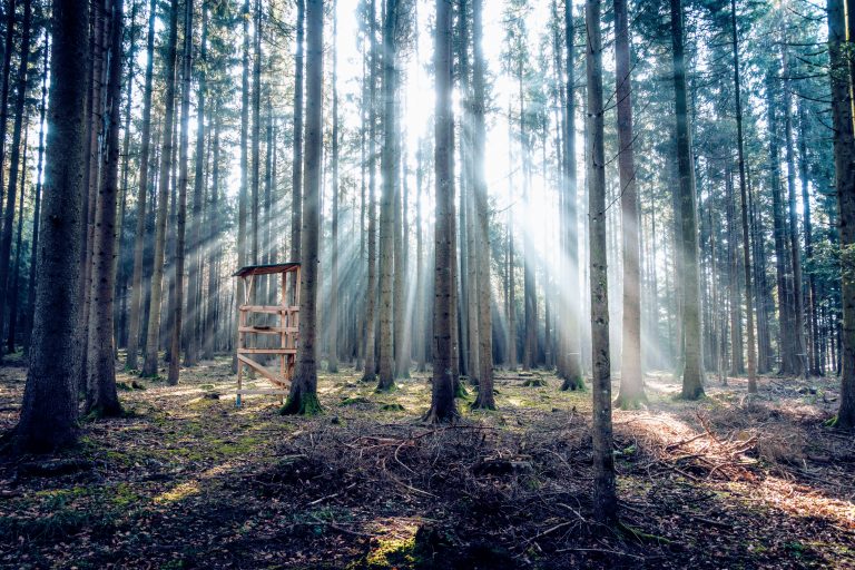 The impact of social media on our society – how can the hunt stand its ground communicatively?