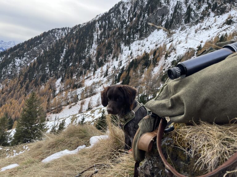 Jagd im Wandel zwischen Funktion und innerem Maßstab